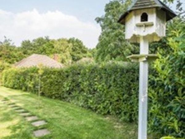 Knole B&B Sevenoaks Kültér fotó